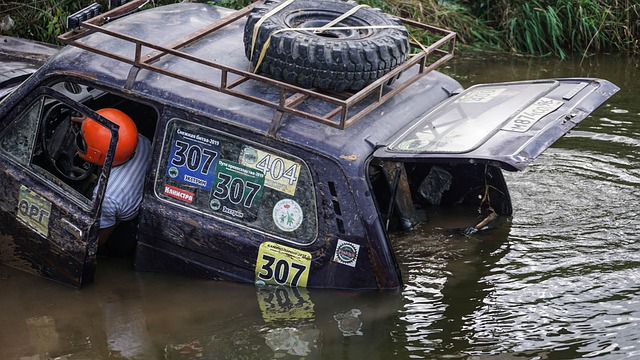 今年的赛事 今年的赛事