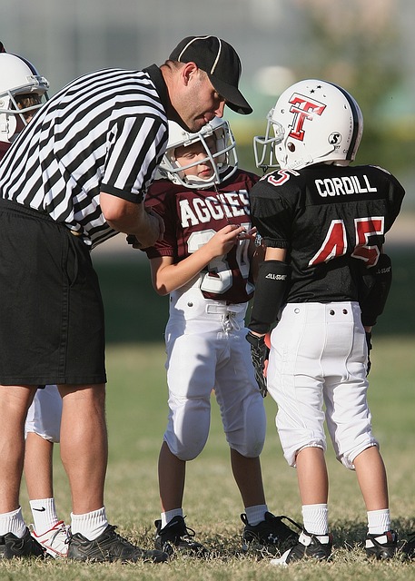 这也反映了 这也反映了