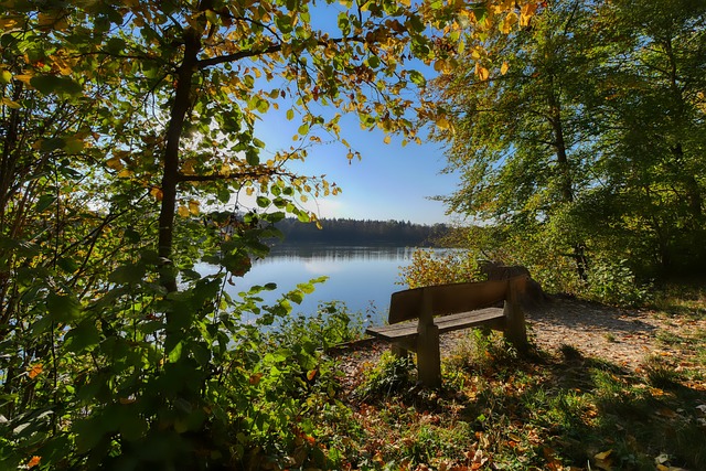 未来发展 未来发展